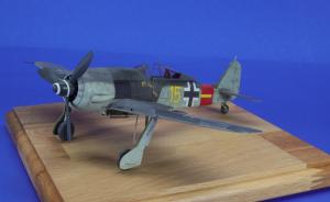 Galerie: Focke-Wulf Fw 190 A-8/R2