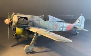 Focke-Wulf Fw 190 A-8/R2 “Sturmbock”