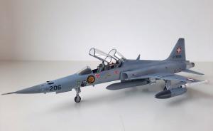 Bausatz: Northrop F-5F Tiger II