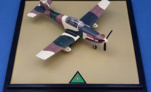 : Pilatus PC-7 Turbo Trainer