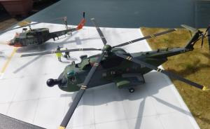 : Sikorsky HH-3F Pelican & Agusta AB 212