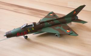 Galerie: MiG-21F-13 Fishbed-C
