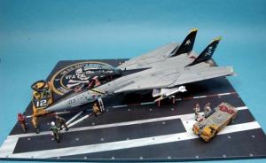Galerie: Grumman F-14B Tomcat