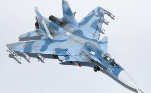 Bausatz: Suchoi Su-33 Flanker-D