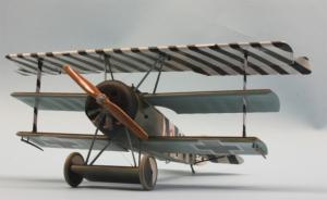 Galerie: Fokker Dr.I