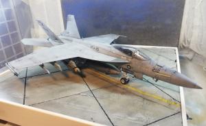 Galerie: Boeing F/A-18E Super Hornet