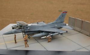 Galerie: General Dynamics F-16CJ Viper Weasel