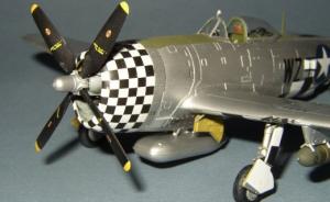 Galerie: Republic P-47D Thunderbolt