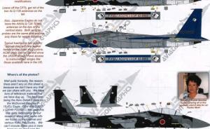 Japanese Agressors F-15 DJ