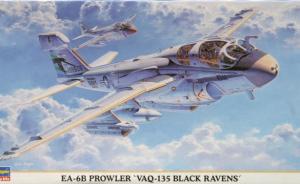: Grumman EA-6B Prowler "Black Ravens"