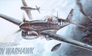 Bausatz: P-40M/N Warhawk