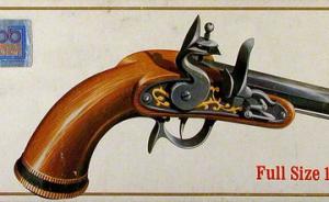 Privateer Antique Pistol