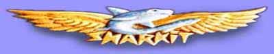 Logo Sharkit