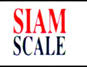 Logo Siam Scale