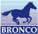 Logo Bronco Models