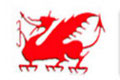 Logo Welsh Models