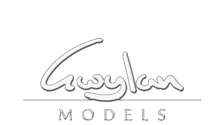 Logo Gwylan Models
