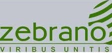 Logo Zebrano Model