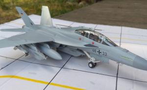 Bausatz: Boeing EF-18G Growler „Luftwaffe“