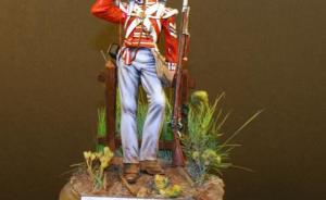 Sgt. Light Infantery Co.