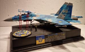 Galerie: Suchoi Su-27 UB