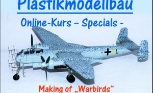 Galerie: Warbirds