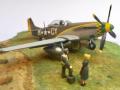 North American P-51D Mustang (1:72 Eduard Bausätze)