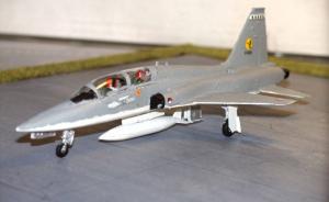Bausatz: Northrop F-5B Freedom Fighter
