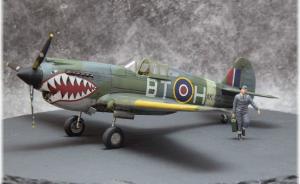 Curtiss Tomahawk Mk.II