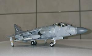 Galerie: BAe Sea Harrier FA.2