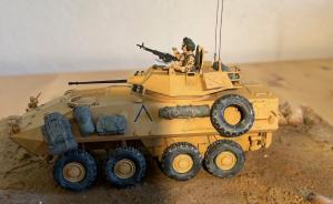 Galerie: LAV-25
