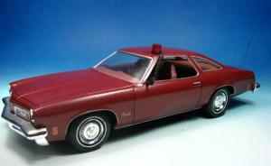 : 1975 Oldsmobile Cutlass