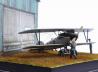 Albatros D.V