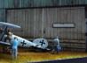 Albatros D.V