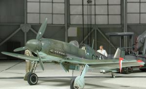 Galerie: Heinkel He 100 D