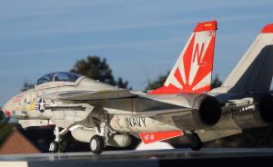 Galerie: Grumman F-14A Tomcat