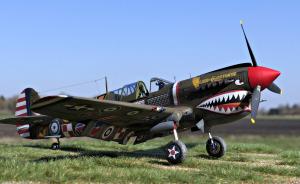 Curtiss P-40N Warhawk