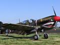 Curtiss P-40N Warhawk (1:48 Eduard)