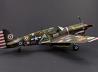 Curtiss P-40N Warhawk
