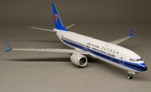 : Boeing 737 MAX 8