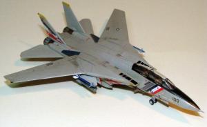 Galerie: Grumman F-14D Tomcat