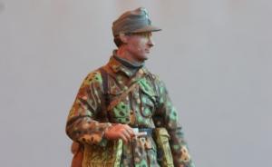 Galerie: Unterscharführer Division Wiking