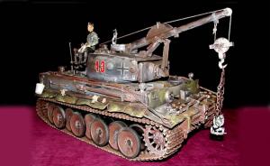 "Berge-Tiger"