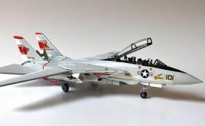 Galerie: Grumman F-14A Tomcat