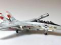 Grumman F-14A Tomcat (1:72 Airfix)