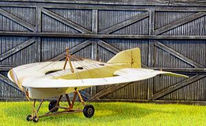 : Lee-Richards Annular Monoplane