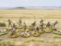 Gurkhas W.W. II (H0/00 Airfix)