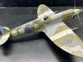 Supermarine Spitfire Mk.XIVe (1:32 verschiedene Hersteller)