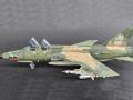Republic F-105G Thunderchief (1:48 Revell)