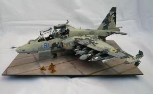 Galerie: Suchoi Su-25 Frogfoot